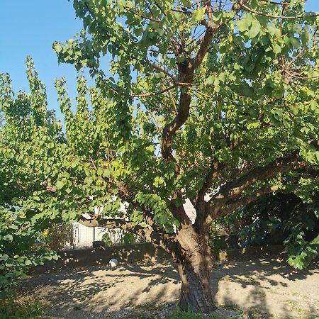Villa Dans Le Sud Lunel  Exteriör bild